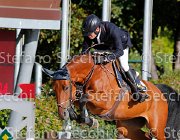 Del Covillo Gerika GioCav2013 S5 1166 : Campionati Italiani Giovani Cavalli, Cattolica, Del Covillo Fabio, Gerika, ph Stefano Secchi ©